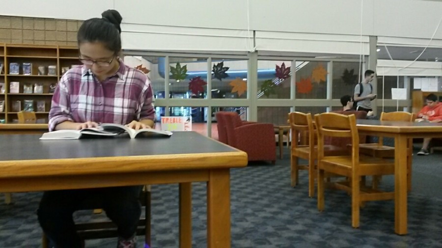 Junior Amy Meng takes time out of lunch to study AP material in the RHS media center.