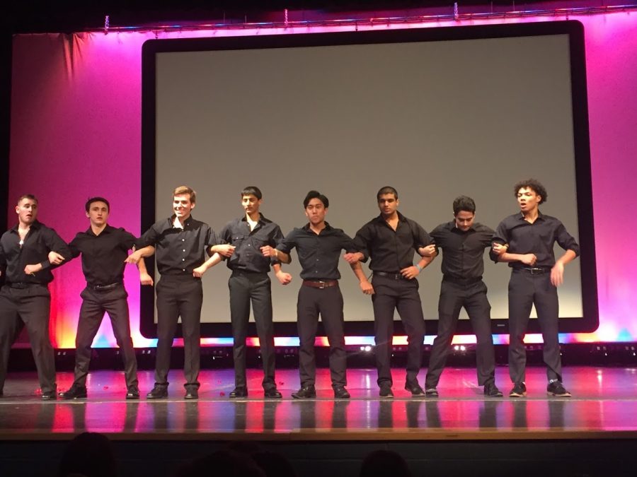 The Mr. Rochester contestants take the stage on Feb. 14, 2019. Photo by Pooja Patel. 