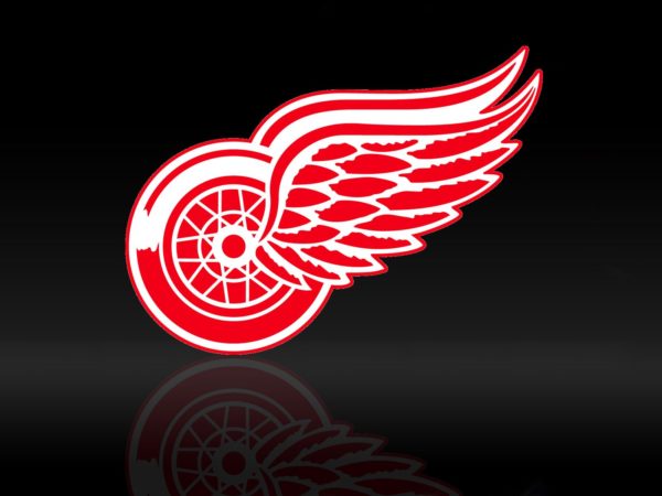 2023-24 Detroit Red Wings Season Preview
